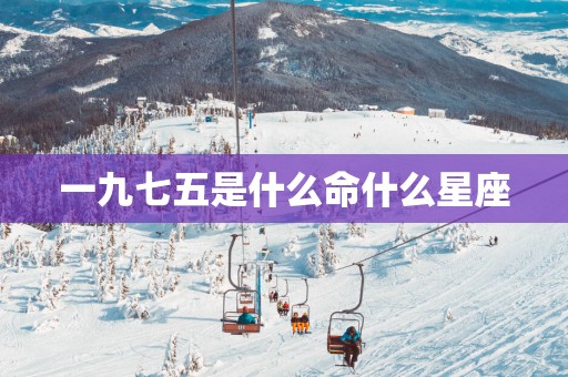 一九七五是什么命什么星座