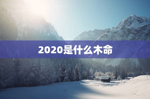 2025是什么木命