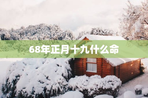 68年正月十九什么命