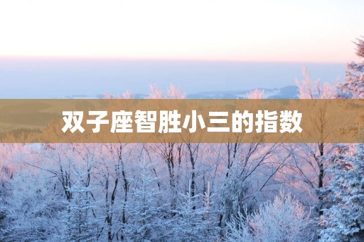 双子座智胜小三的指数