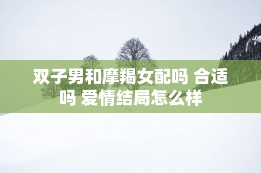 双子男和摩羯女配吗 合适吗 爱情结局怎么样