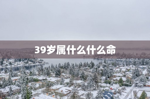 39岁属什么什么命