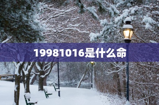19981016是什么命