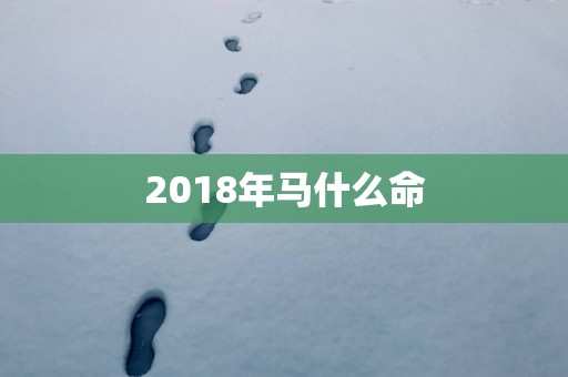 2018年马什么命