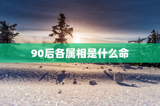 90后各属相是什么命
