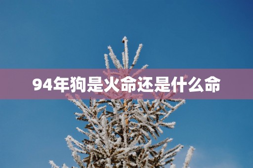 94年狗是火命还是什么命