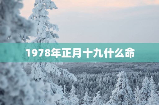 1978年正月十九什么命