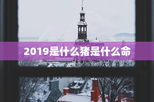 2019是什么猪是什么命