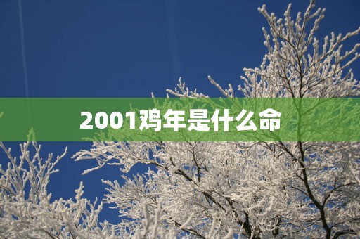 2001鸡年是什么命
