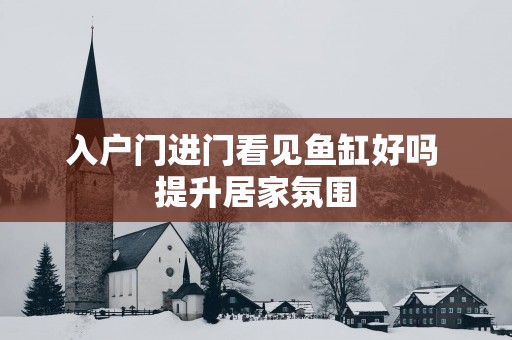 入户门进门看见鱼缸好吗 提升居家氛围