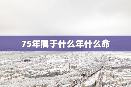 75年属于什么年什么命