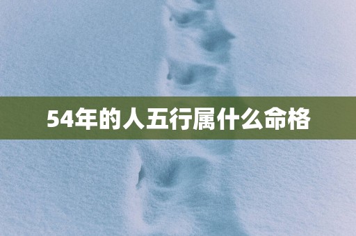 54年的人五行属什么命格