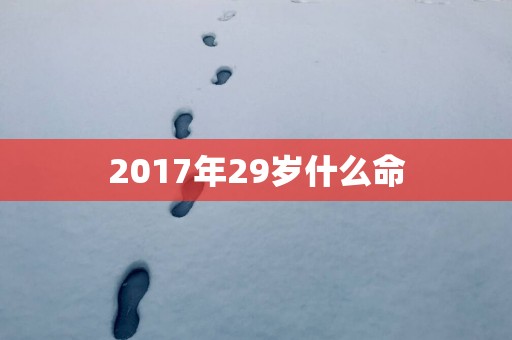 2017年29岁什么命
