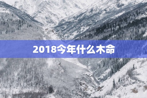 2018今年什么木命