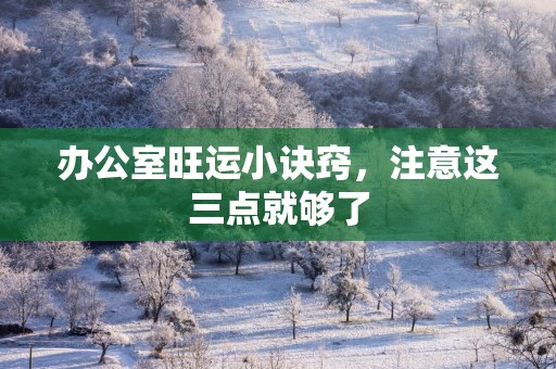 办公室旺运小诀窍，注意这三点就够了