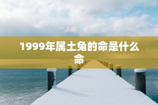 1999年属土兔的命是什么命