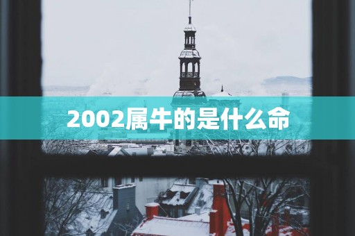 2002属牛的是什么命