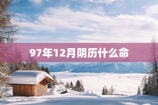 97年12月阴历什么命