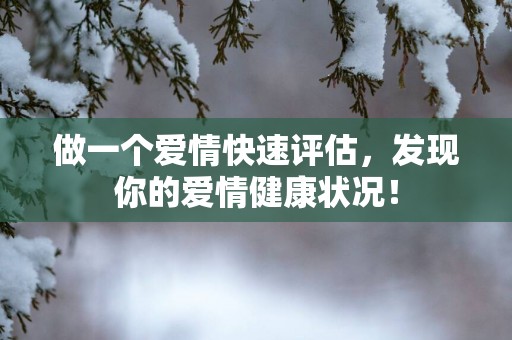 做一个爱情快速评估，发现你的爱情健康状况！