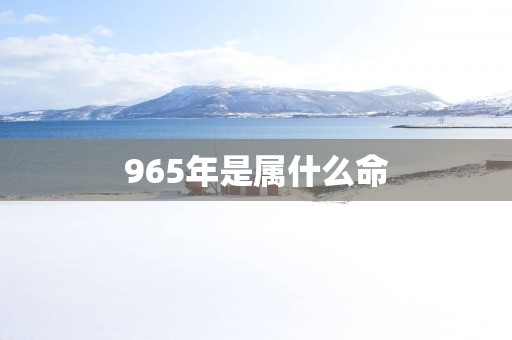 965年是属什么命