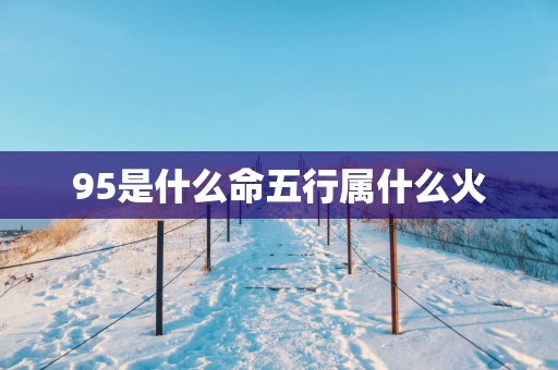 95是什么命五行属什么火