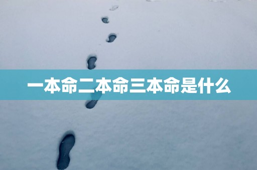 一本命二本命三本命是什么