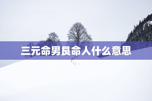 三元命男艮命人什么意思