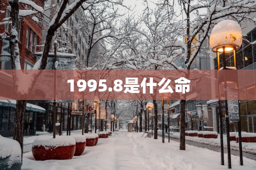 1995.8是什么命