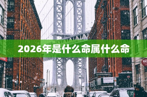 2026年是什么命属什么命
