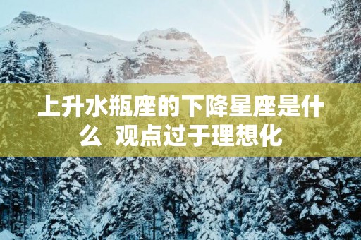 上升水瓶座的下降星座是什么  观点过于理想化