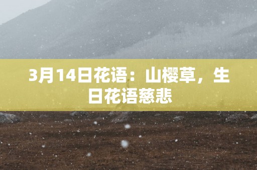 3月14日花语：山樱草，生日花语慈悲