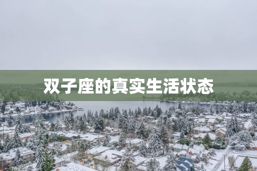 双子座的真实生活状态