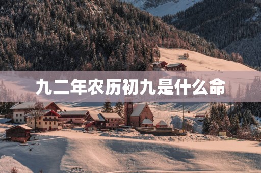 九二年农历初九是什么命