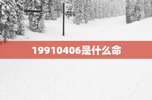 19910406是什么命