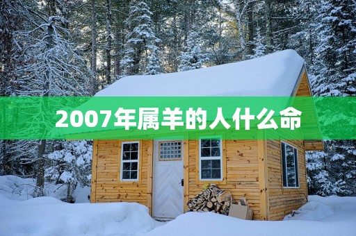 2007年属羊的人什么命