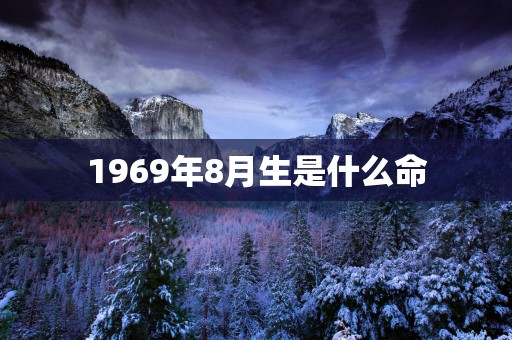 1969年8月生是什么命