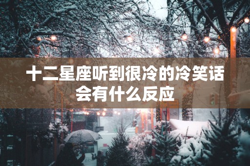十二星座听到很冷的冷笑话会有什么反应