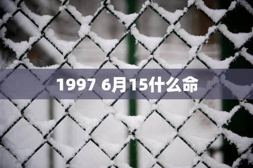 1997 6月15什么命
