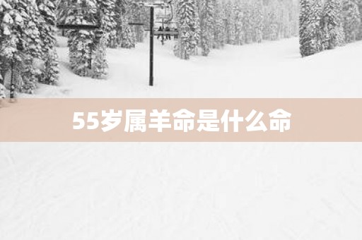 55岁属羊命是什么命