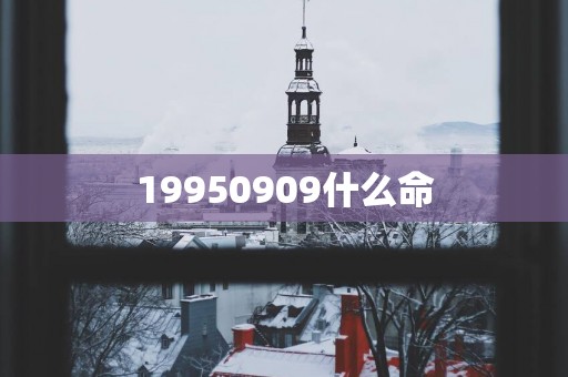 19950909什么命
