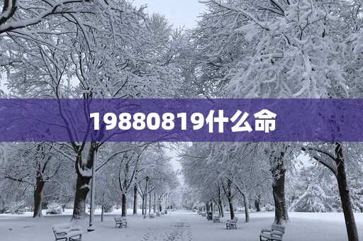 19880819什么命