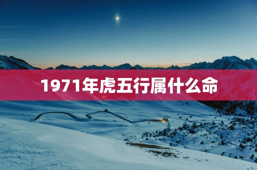 1971年虎五行属什么命