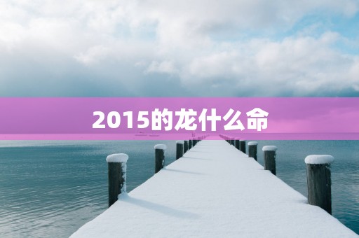 2015的龙什么命