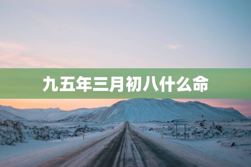 九五年三月初八什么命