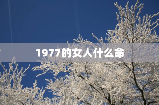 1977的女人什么命