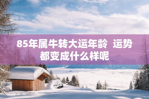 85年属牛转大运年龄  运势都变成什么样呢