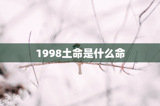 1998土命是什么命