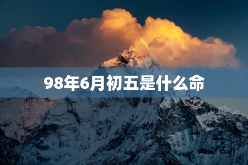 98年6月初五是什么命