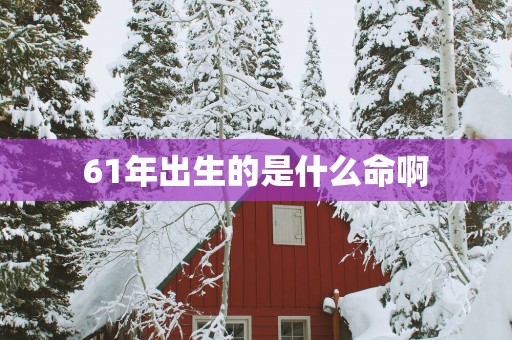 61年出生的是什么命啊