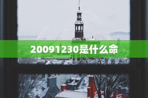20091230是什么命